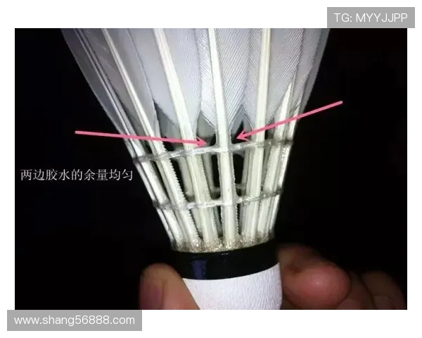 成都羽毛球队选拔赛点评：意识表现的优劣与提升空间分析