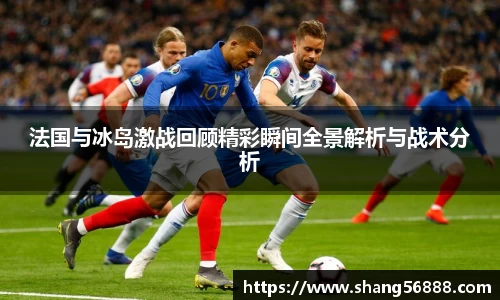 百乐博blb法国与冰岛激战回顾精彩瞬间全景解析与战术分析